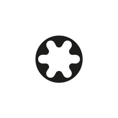 TORX TX40 DIN 5260. 40mm - titan - ONIX Ti
